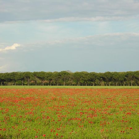 Appartamenti Alaska Bibione Exterior foto